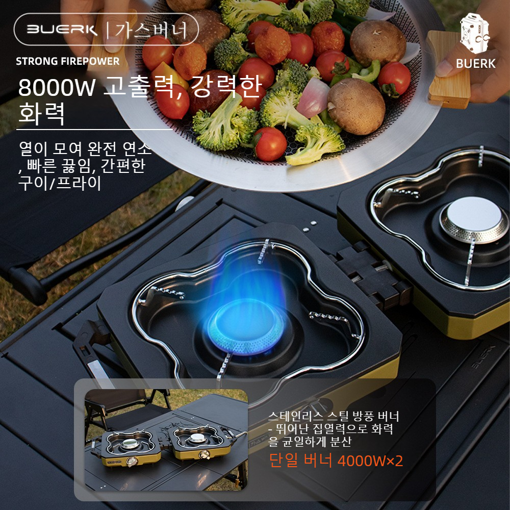 Camping Stove Double Burner Po - Camping Double Cooking Stove 评论和价格